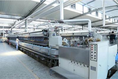 葉文:一個“保守”的改革者